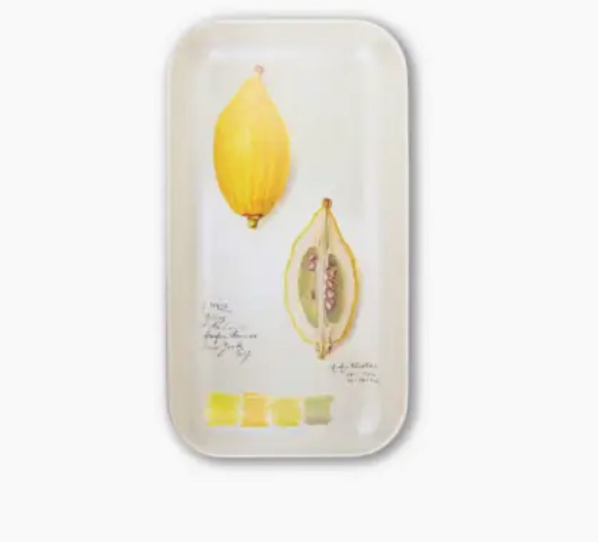 Bari Citron Tray Small